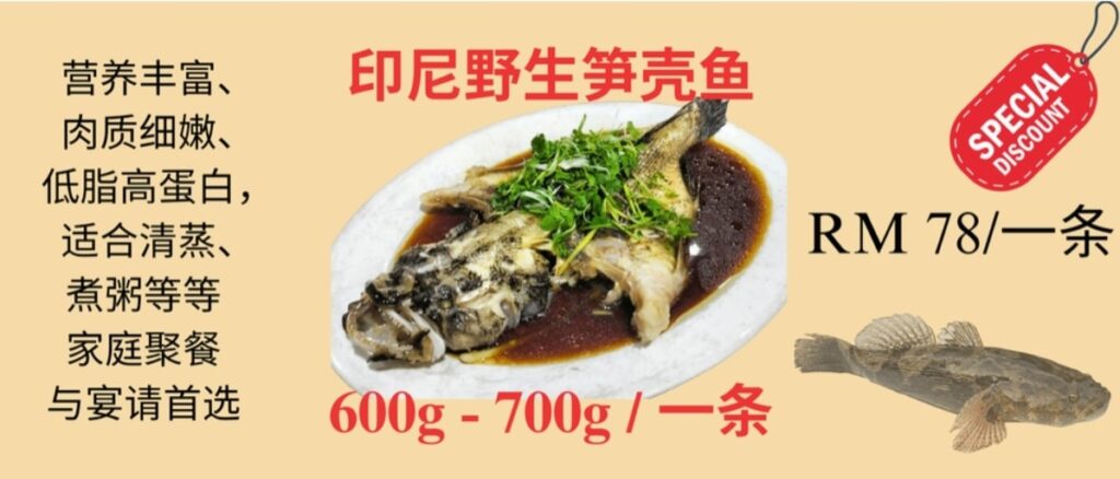 Marble Goby (Soon Hock) Fish