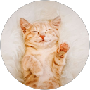 Karin Tan profile picture