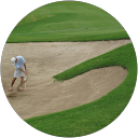 budybudy profile picture